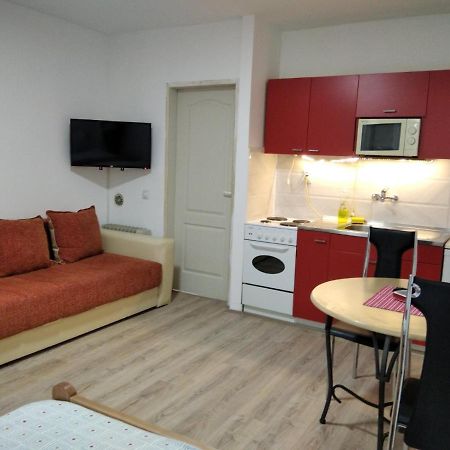 Apartman 4 - Studio Janja Sokobanja Exterior foto