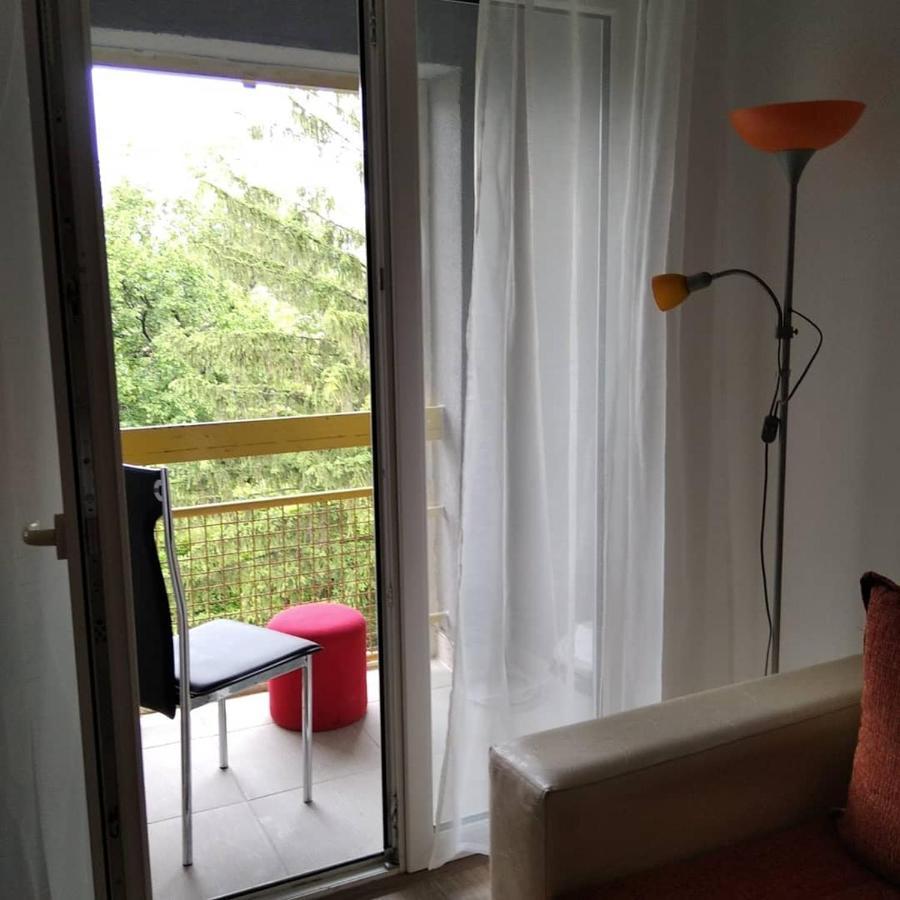 Apartman 4 - Studio Janja Sokobanja Exterior foto
