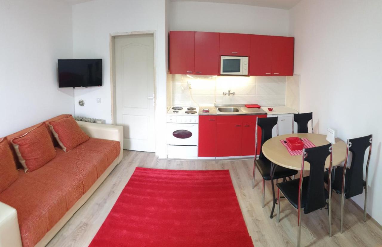 Apartman 4 - Studio Janja Sokobanja Exterior foto